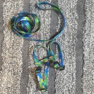 Colorful Cat Harness and Leash Set